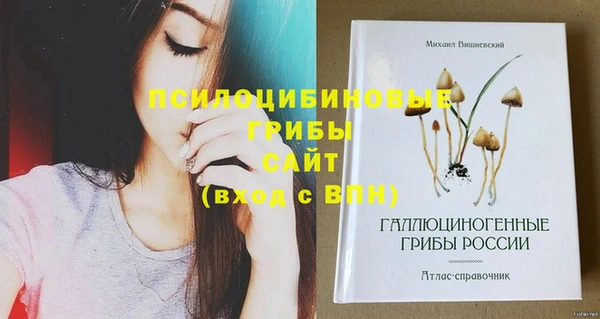 МДМА Лихославль