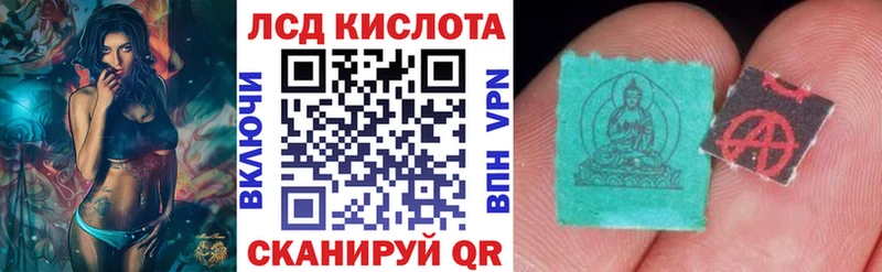 дарк нет наркотические препараты  Отрадная  Марки NBOMe 1,8мг  сколько стоит 