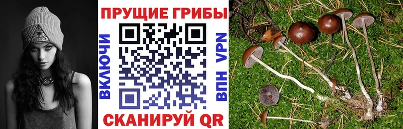 Галлюциногенные грибы ЛСД  Отрадная 