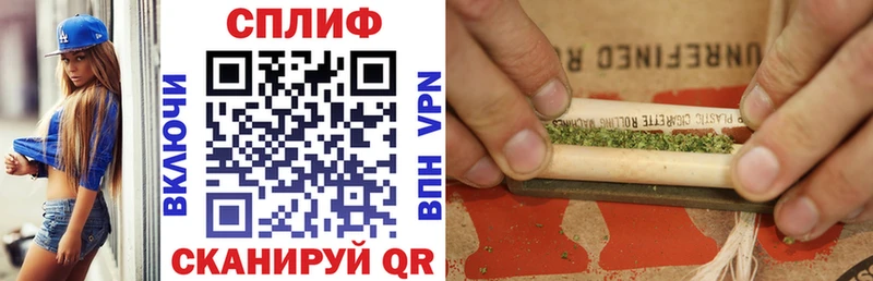 купить наркотик  Отрадная  mega   Каннабис марихуана 